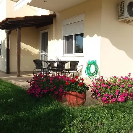 Azalia By Travelpro Services Nea Moudania Halkidiki Paralia Dionisiou